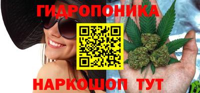 a pvp Лесосибирск