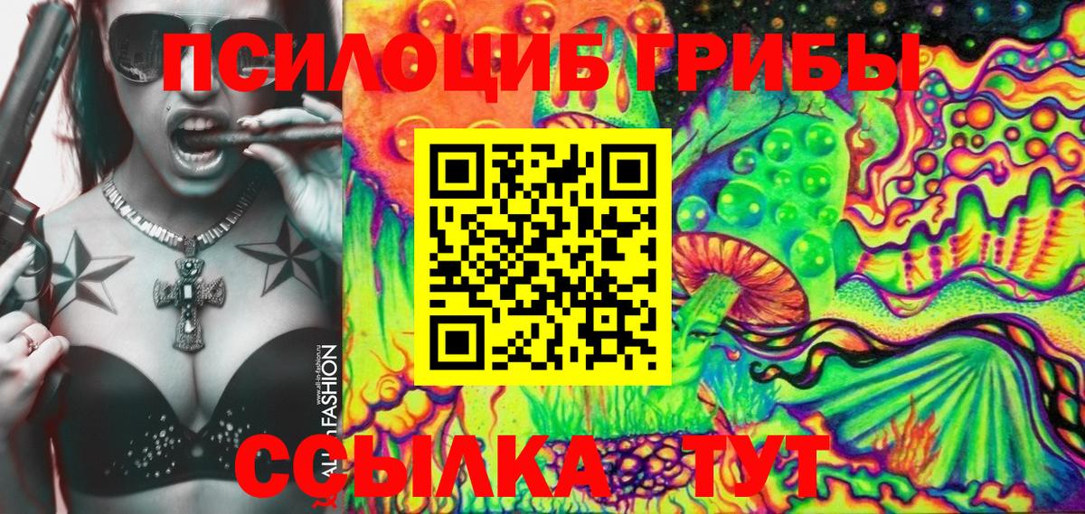 Дербент  Псилоцибиновые грибы Psilocybe  Вход с VPN 