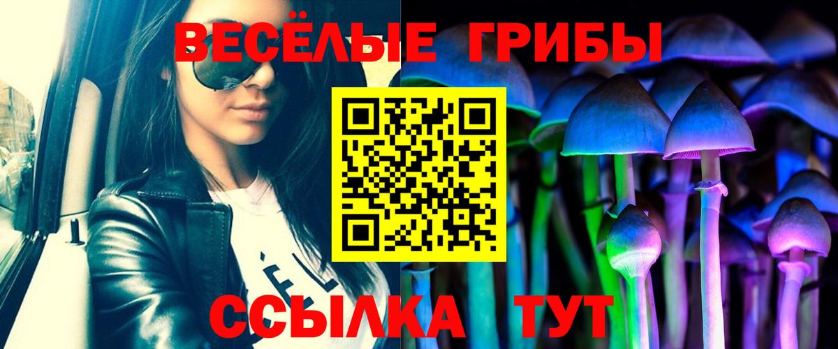 Галлюциногенные грибы Magic Shrooms Дербент