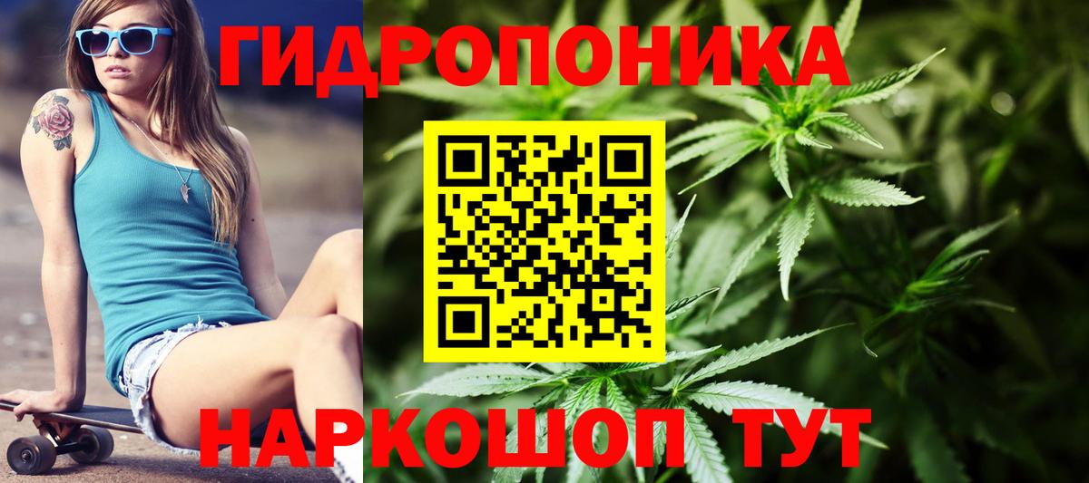 Канабис Ganja  Шишки марихуана марихуана  Конопля сатива  Дербент  Вход с VPN  Конопля сатива 